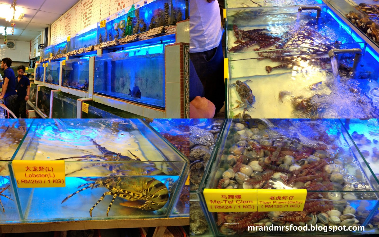 Food Archeologists Seafood Restaurant Asia City Kota