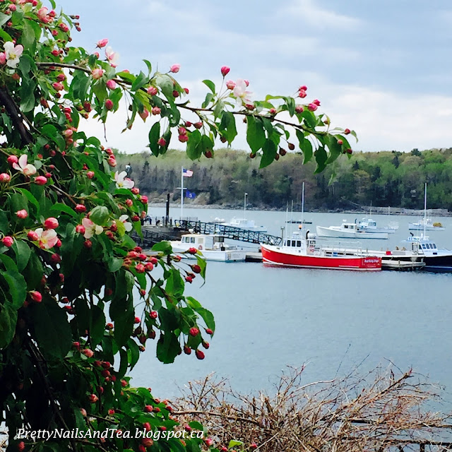 Bar Harbor Maine USA PrettyNailsAndTea