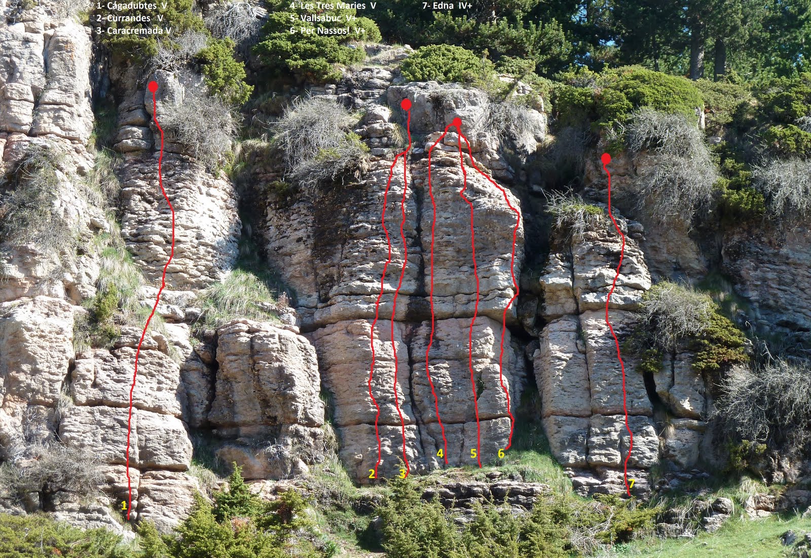 NUS RASOS DE PEGUERA