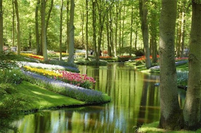 Jardines Keukenhof – Holanda