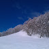26 Gennaio 2013: Campo dell'Osso - Monte Autore