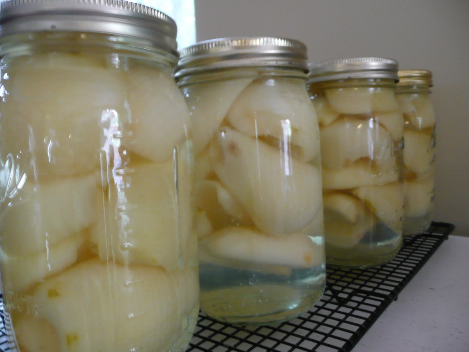 k'leena creates Canning 101 Boiling Water Bath Method