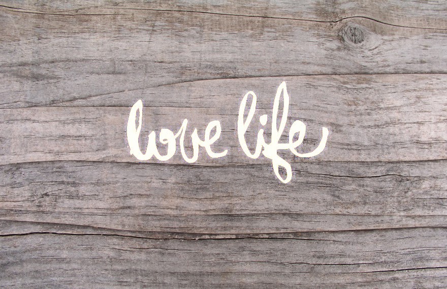 Live . Love . Life