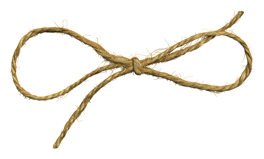 Gallery For > String Bow Png