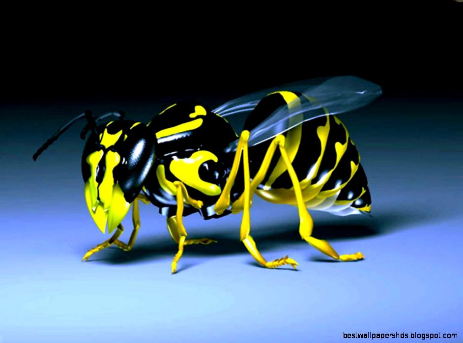 Free Downloadable 3d Wallpapers 3D by Free download best HD Free Downloadable 3d Wallpapers 3D by Free download best HD