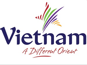 Vietnam Travel For You