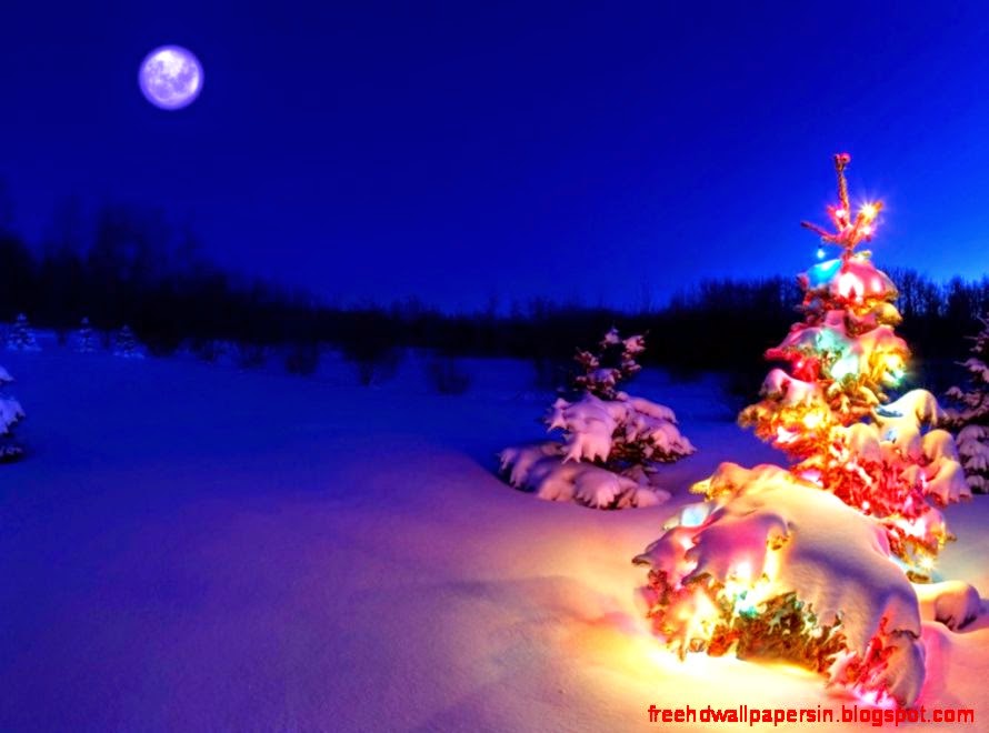 3D Christmas Desktop Backgrounds Christmas Trees AxeeTech 3D Christmas Desktop Backgrounds Christmas Trees AxeeTech