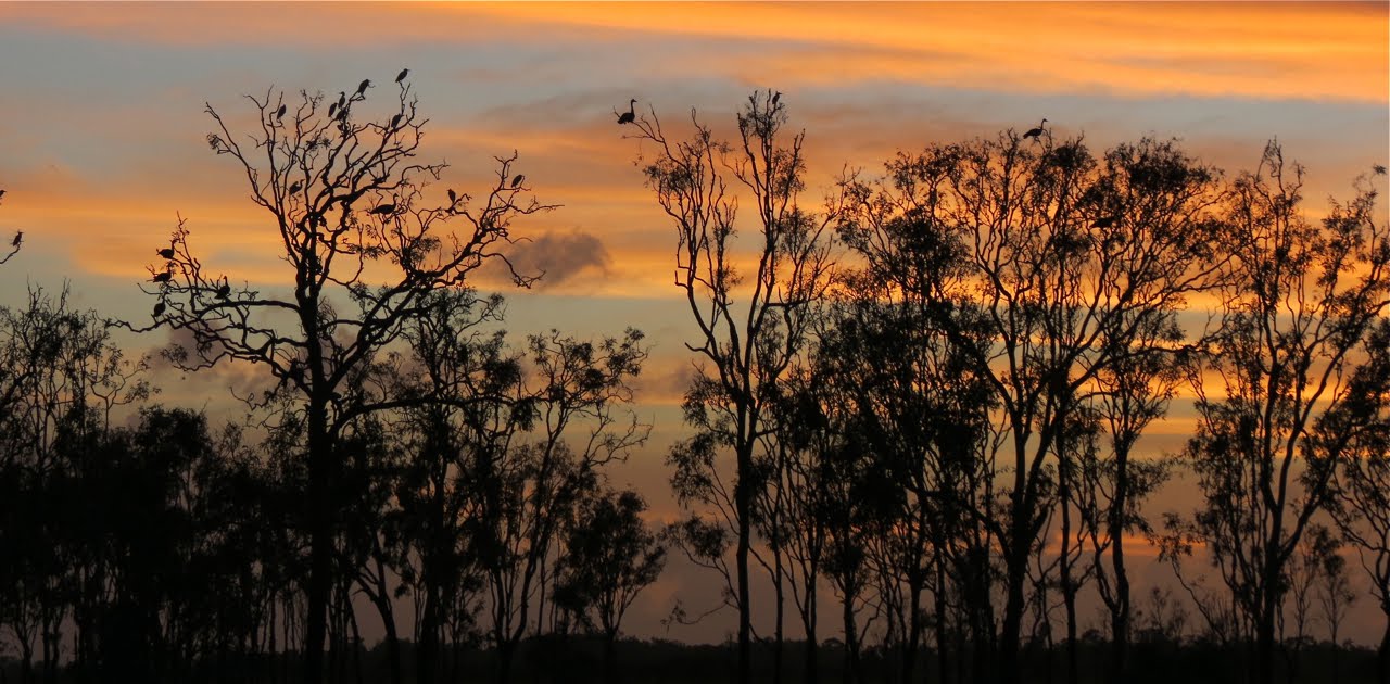Goose Tree