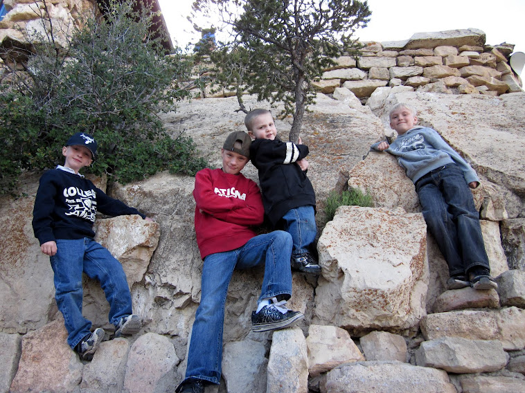 The boys at the Grand Canyon 2011