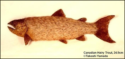 Canadian Hairy Trout by Takeshi Yamada
