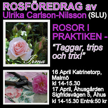 ROSFÖREDRAG 16 och 17 April...
