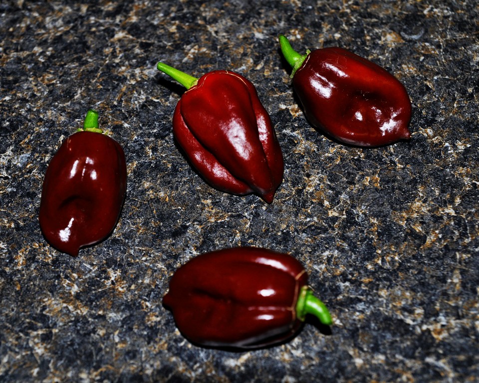 Alice's Adventures Underground Jamaican Hot Chocolate Chocolate Ice Cream