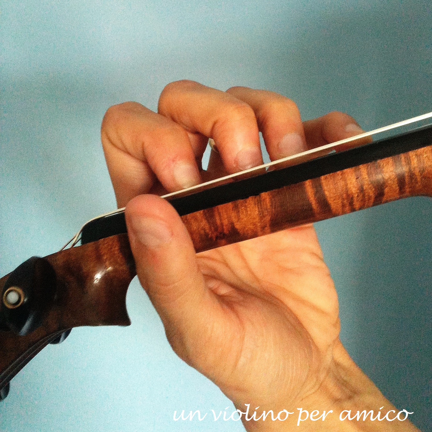 Un violino per amico PER SUONARE SERVE VIOLINO, ARCHETTO E...ORECCHIO!