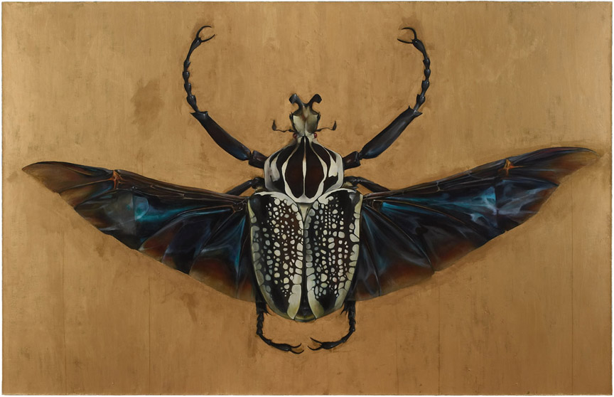 THE ANIMAL for JUST adult Goliath Beetle