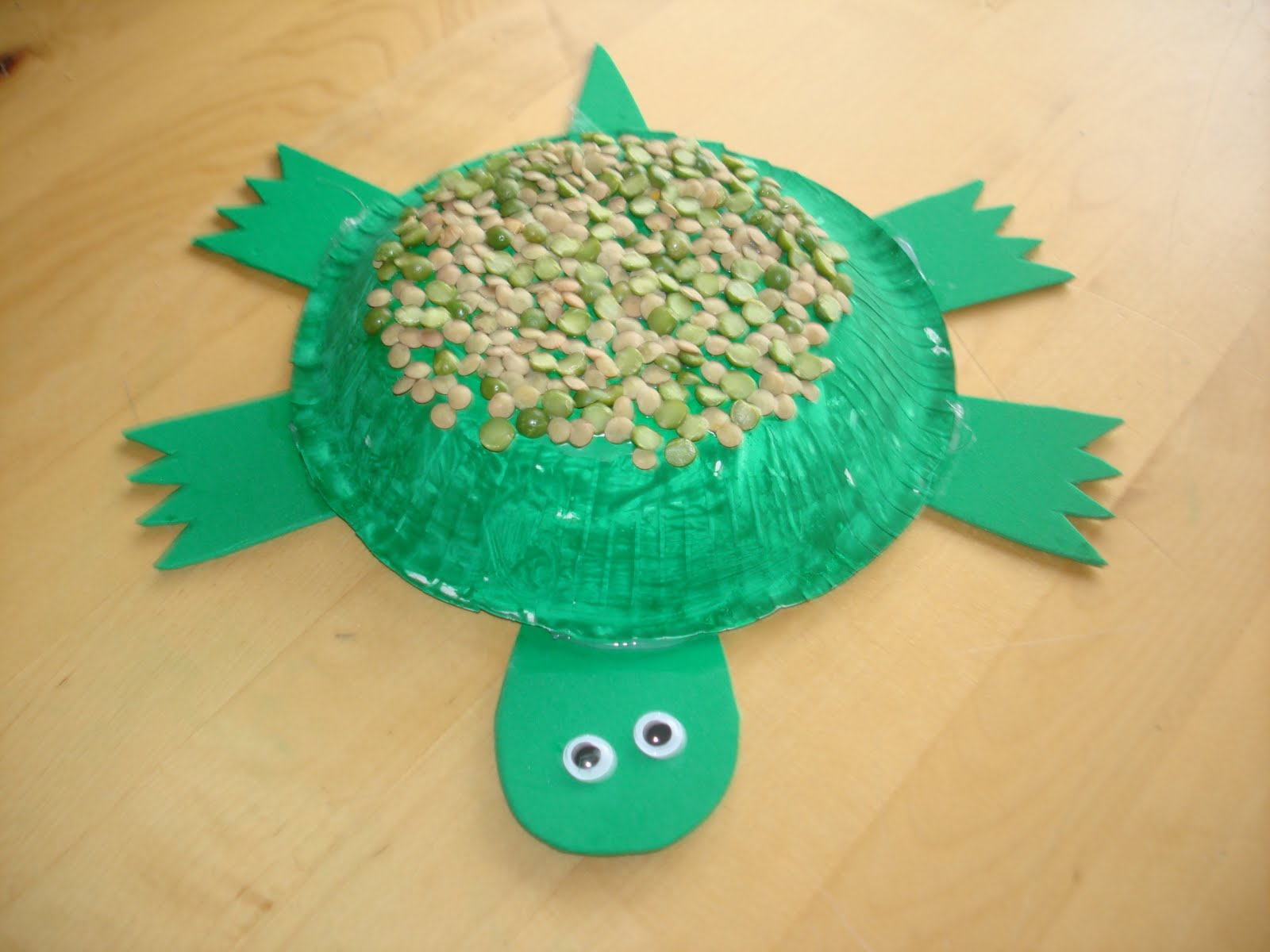 Play and Learn with Dana Paper Bowl Turtle