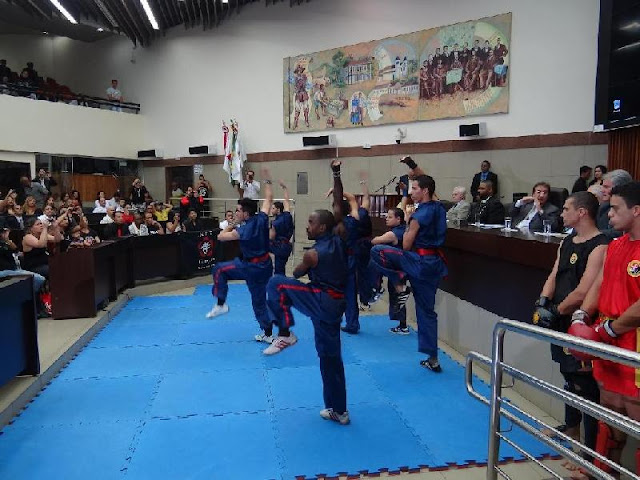 Demonstração Kung-fu