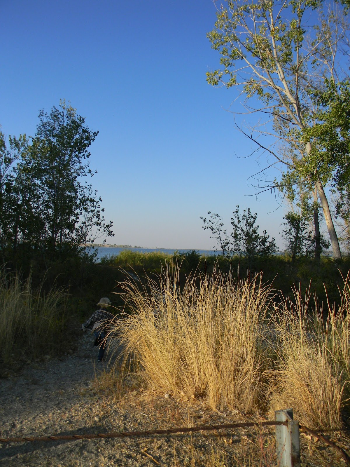 Wanderlust Idaho: Deer Flat National Wildlife Refuge and Lake Lowell: Part 2