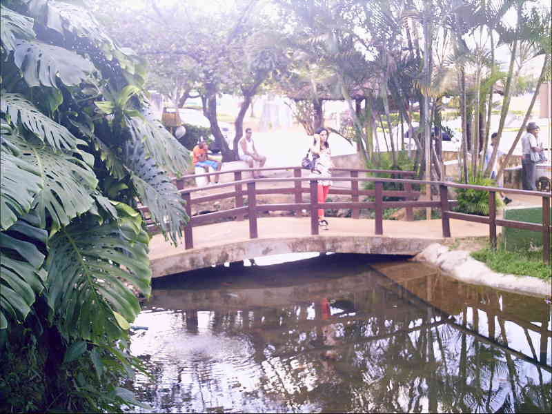 academicos.fac.2011: Luziânia uma cidade histórica com problemas