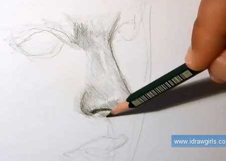 How to draw nose for realistic Pencil Portrait
