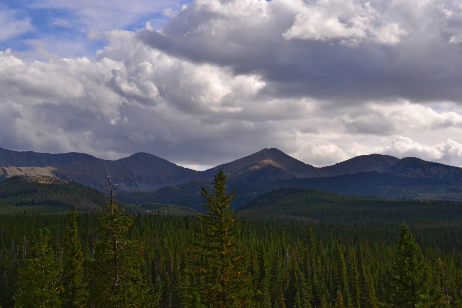 Putah Creek Photo Clyde Park, Montana and Shelter Road National Forest