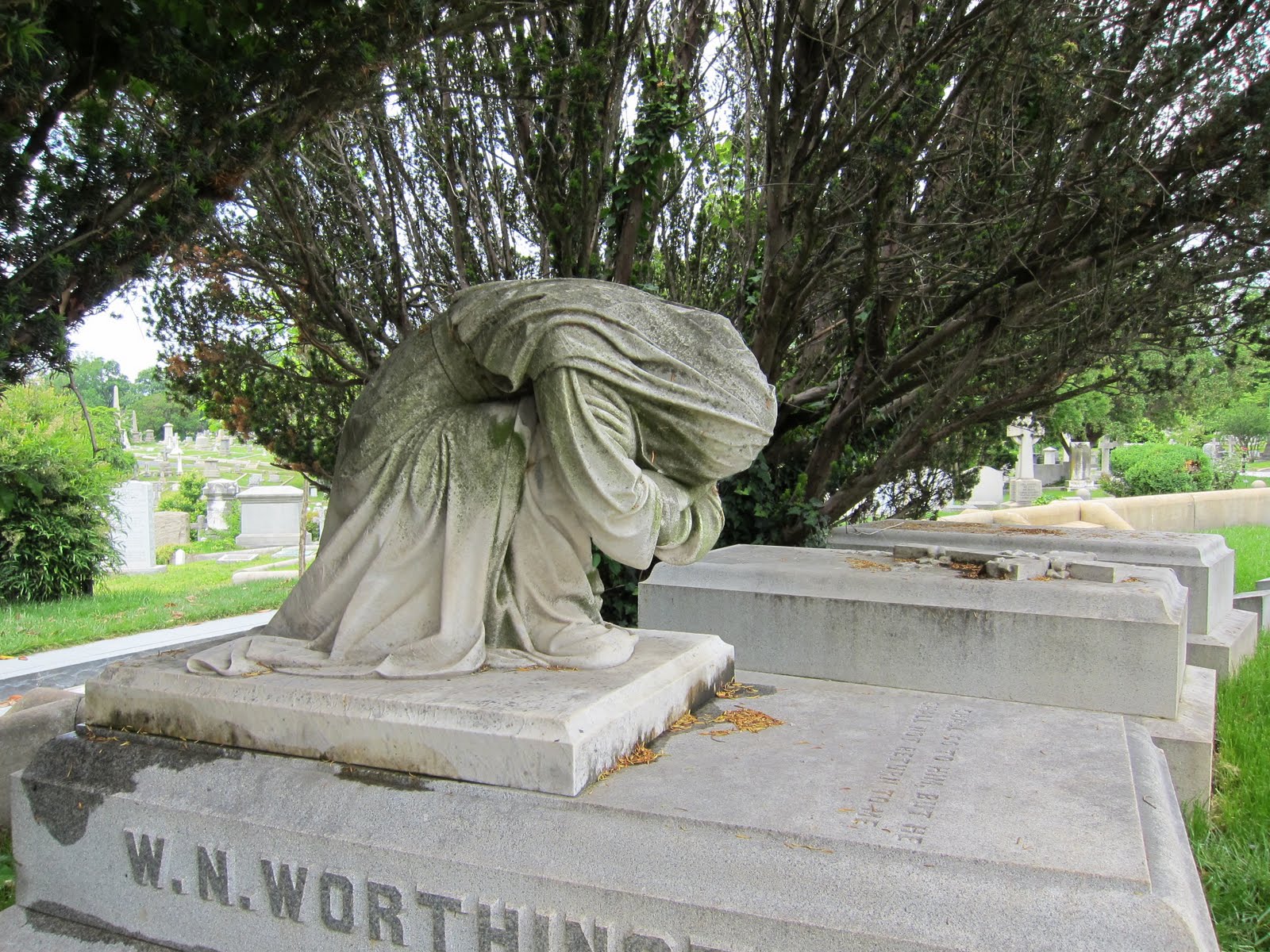 A LA RECHERCHE DE IN SEARCH OF... Hollywood Cemetery, Richmond VA Trees