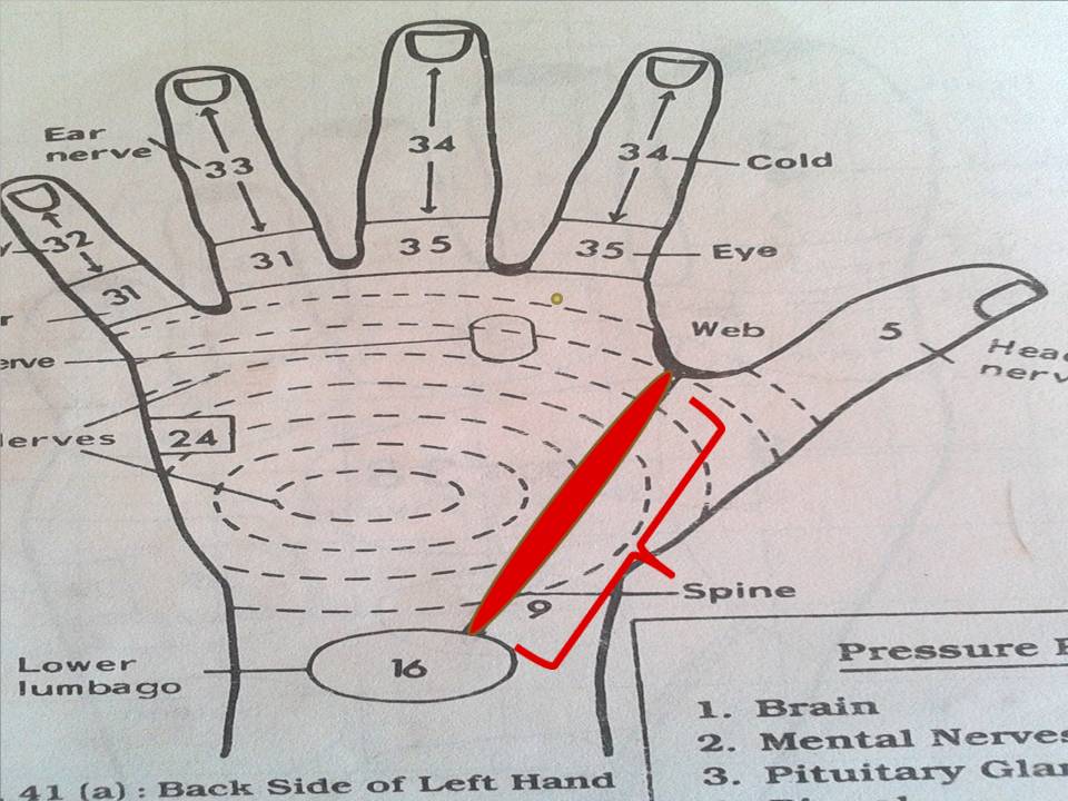 Acupuncture Treatment Eczema