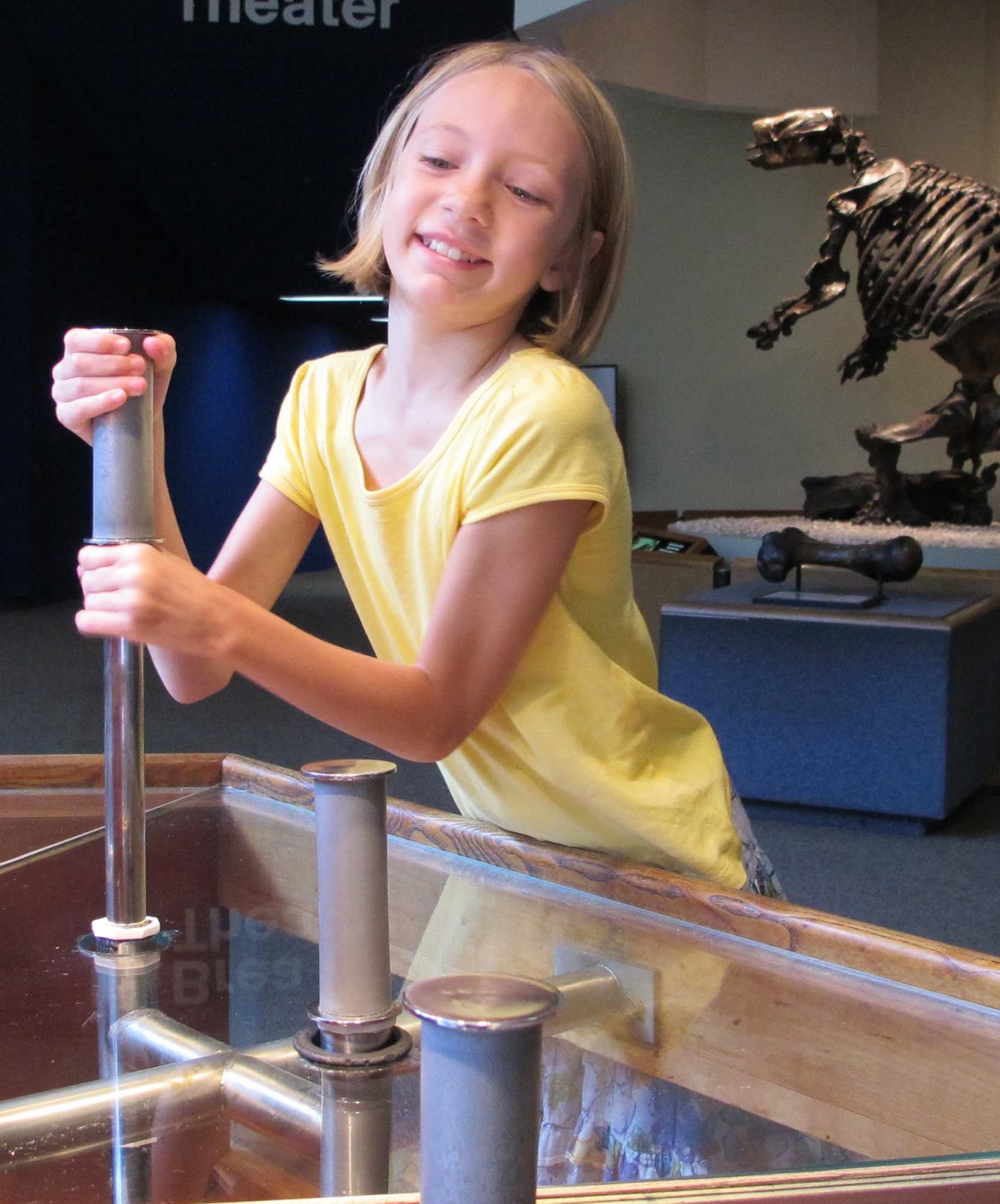 Discovering Ice Age Fossils at La Brea Tar Pits A Field Trip