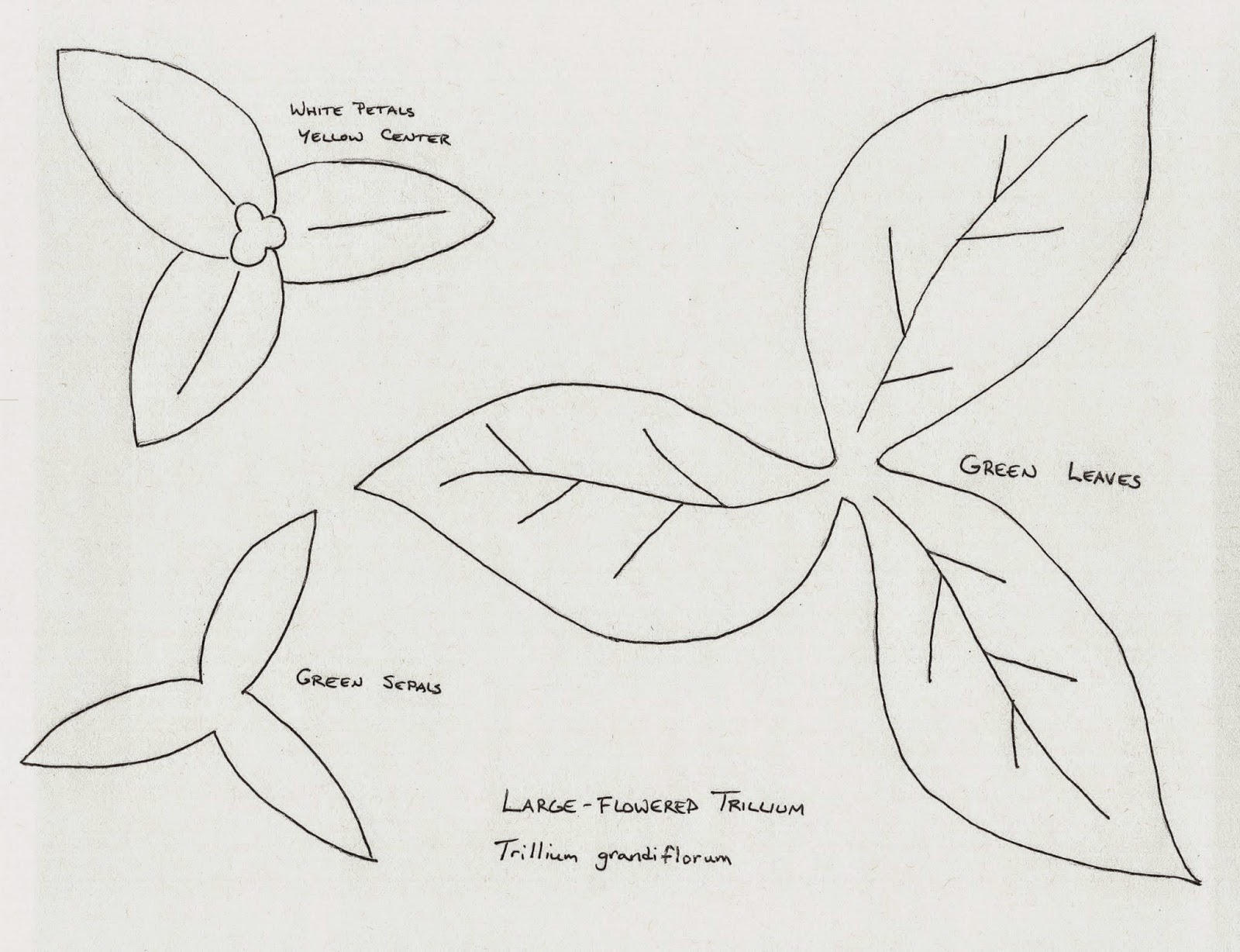 Isabella Conservation District Environmental Education