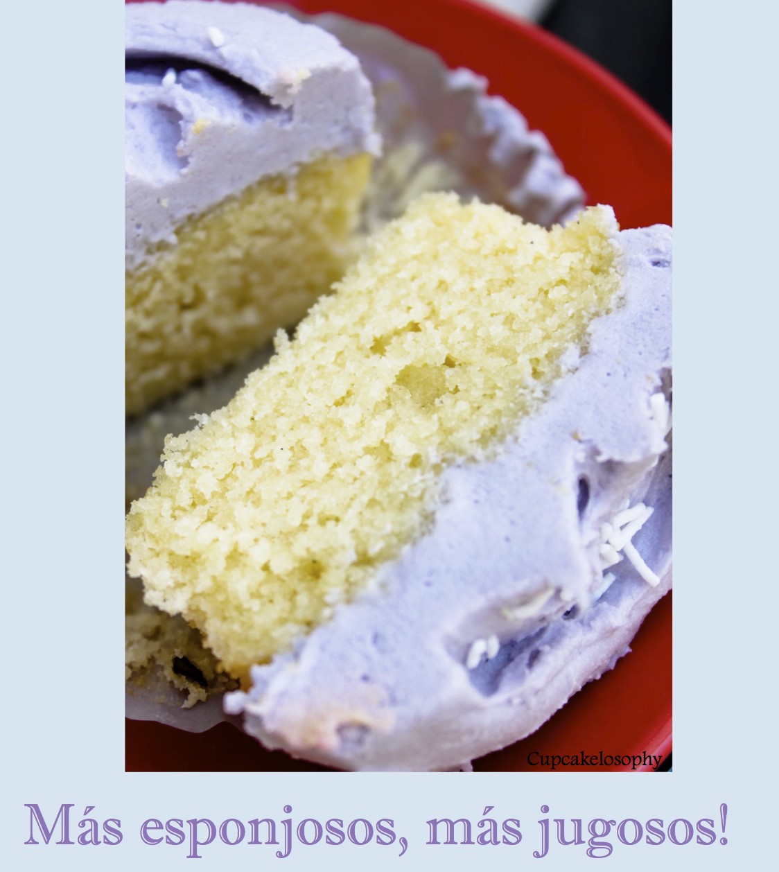 Cupcakelosophy Cupcakes Vol. V Baking Techniques!!