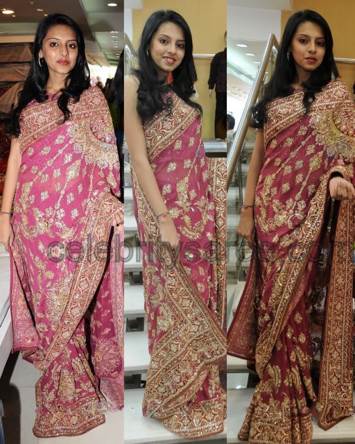 Embroidered and Pearls Work Sari