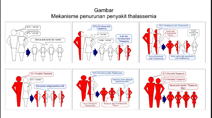 Kepada thalassemia boleh berlaku Talasemia, Kenali