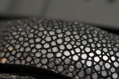 F3S_9320.jpg