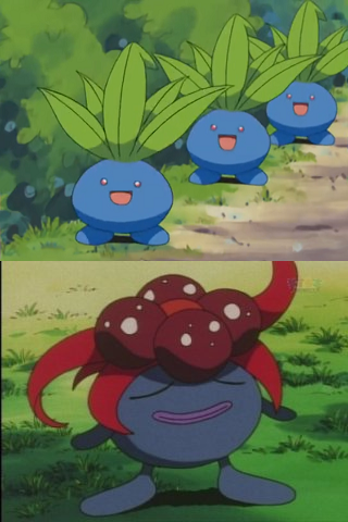 Pokémon: Oddish,Gloom,Vileplume e Bellossom