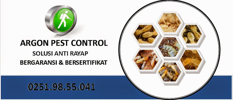 ANTI RAYAP MEDAN | PEST CONTROL MEDAN | 0895.4044.36666