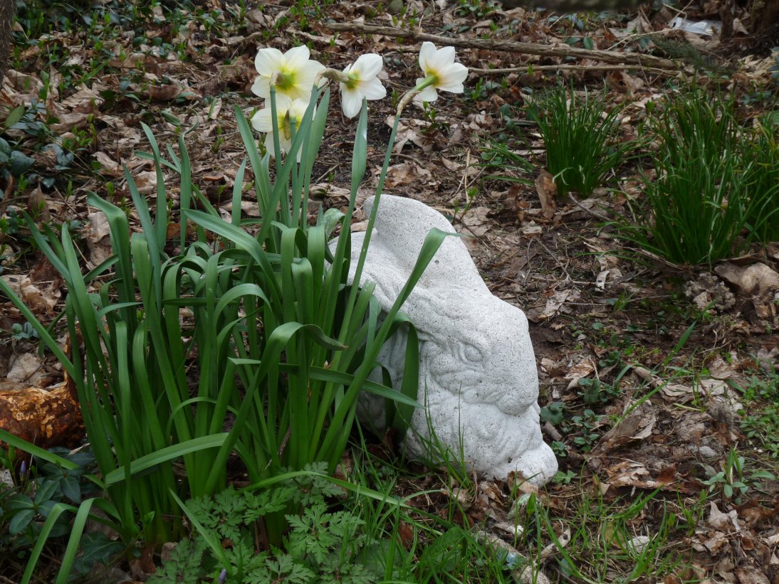 Hill Shepherd April 2011