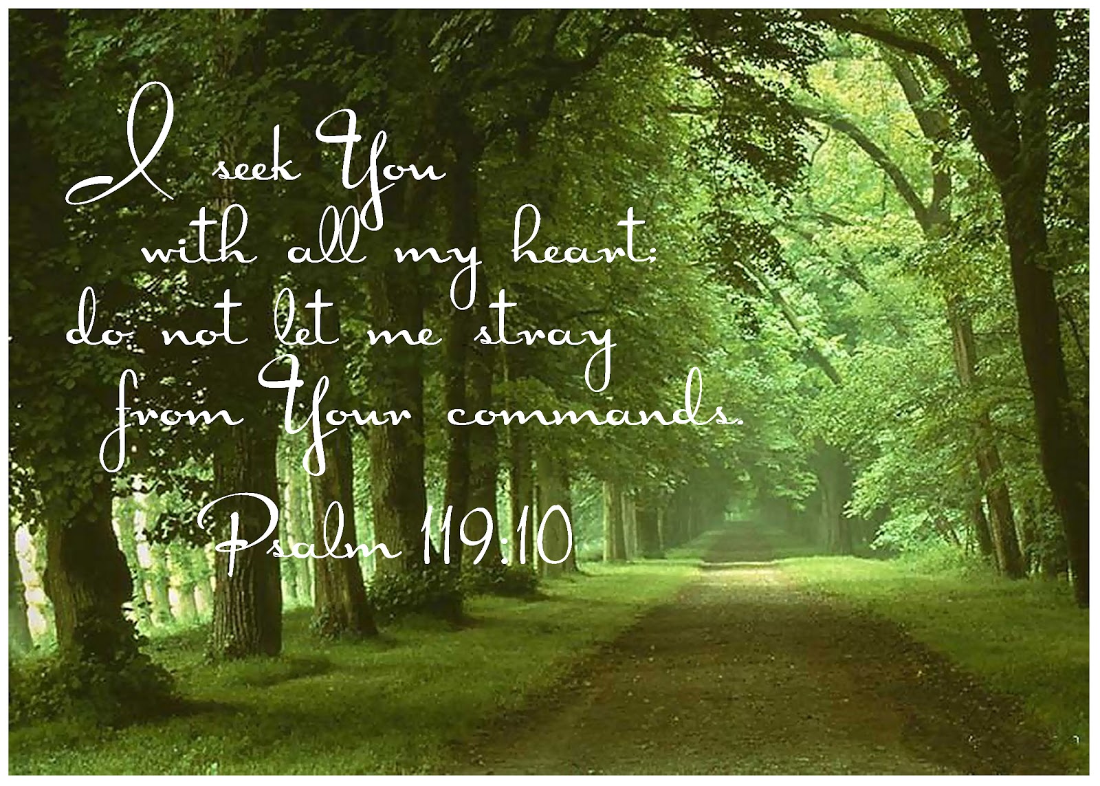 cool img max Wallpapers Abstain from Sex Using Biblical