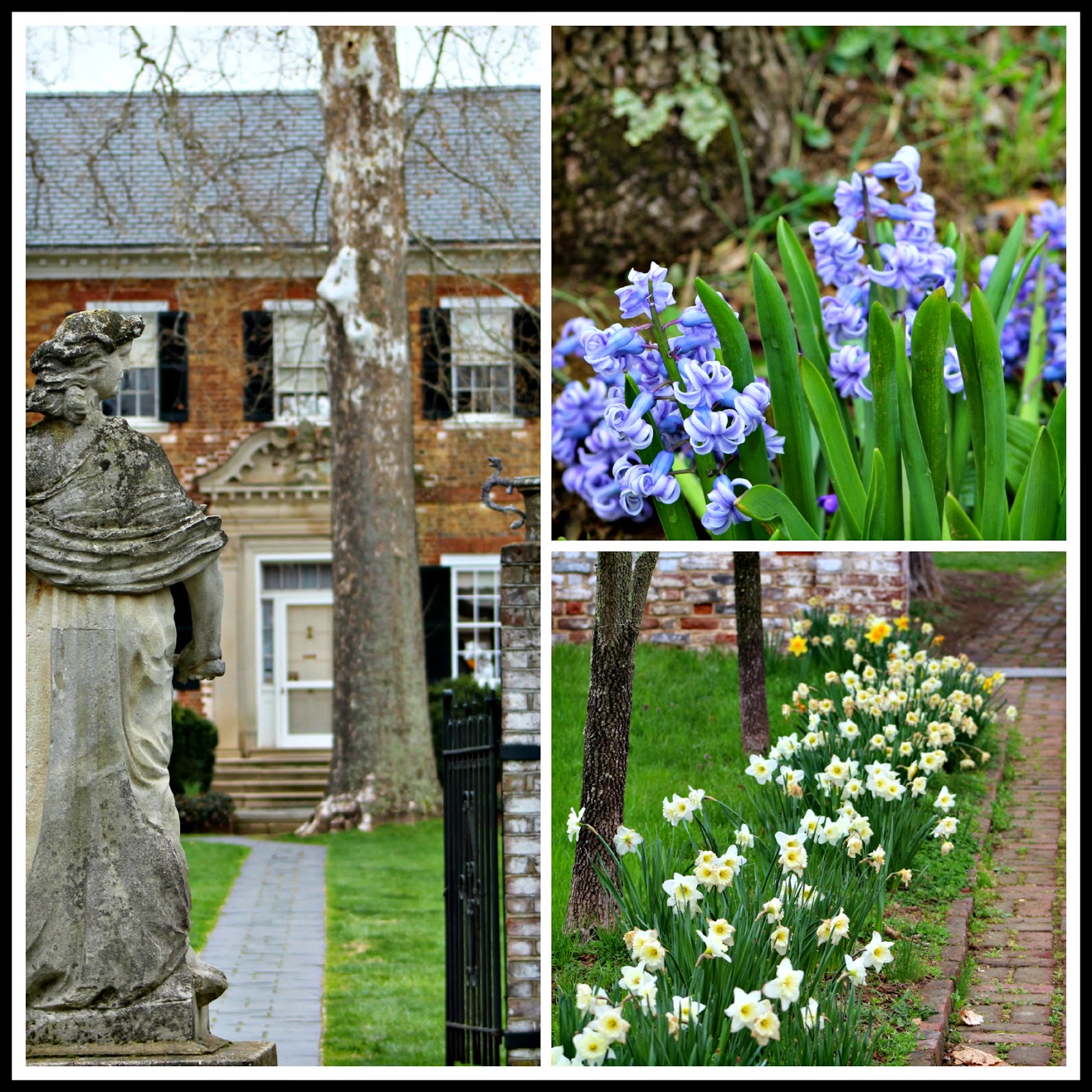 The Joy of Home with Martha Ellen Gardens of Chatham and Kenmore