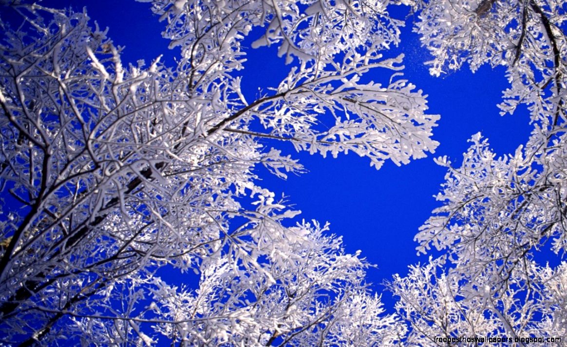 Landscapes Nature Winter Snow Frost Blue Skies Desktop Hd Landscapes Nature Winter Snow Frost Blue Skies Desktop Hd