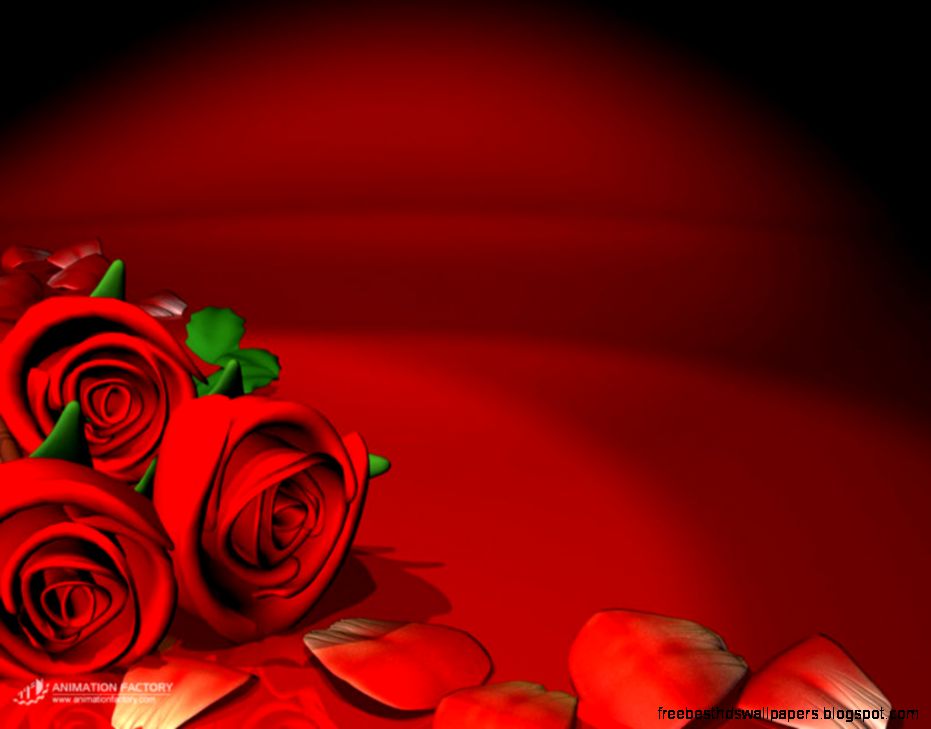Only Red Roses High Quality Wallpapers Infotainment Only Red Roses High Quality Wallpapers Infotainment
