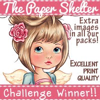 won another prize on the blog hop December 2018