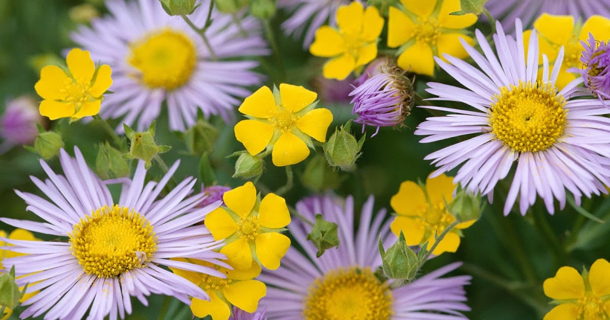 Background Wallpapers (Part 3) ~ IWAN LEMABANG