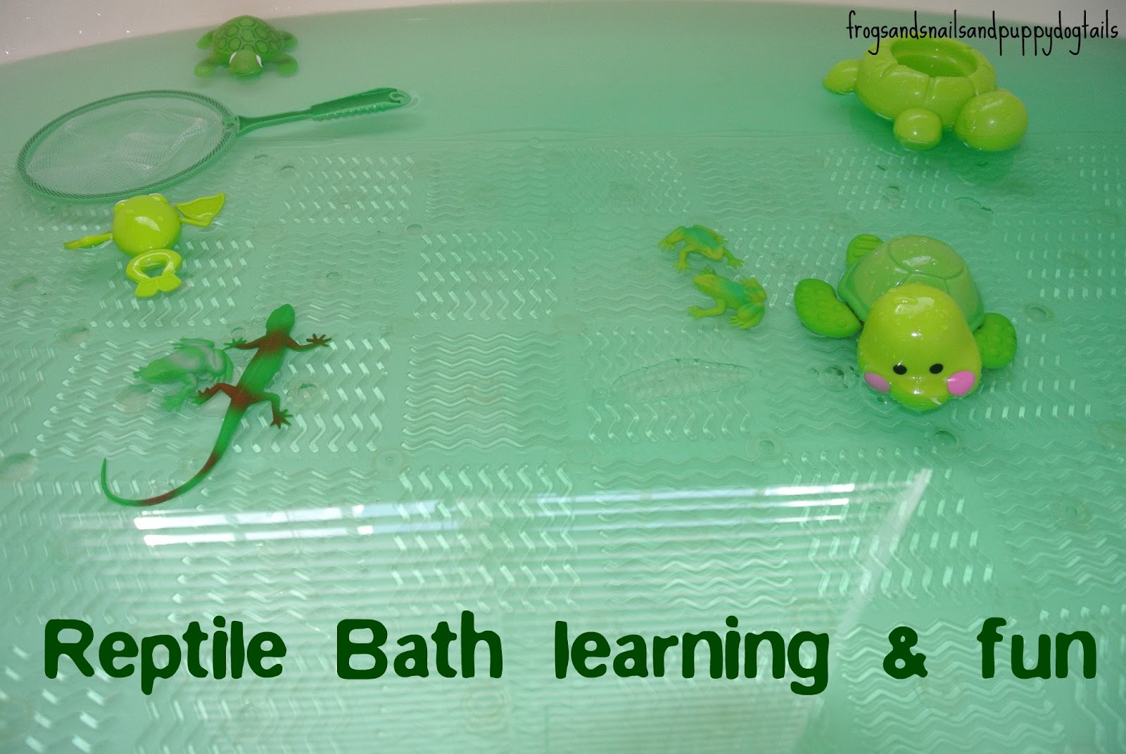 Reptile Bath