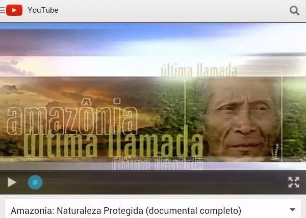 AMAZONIA: ÚLTIMA LLAMADA