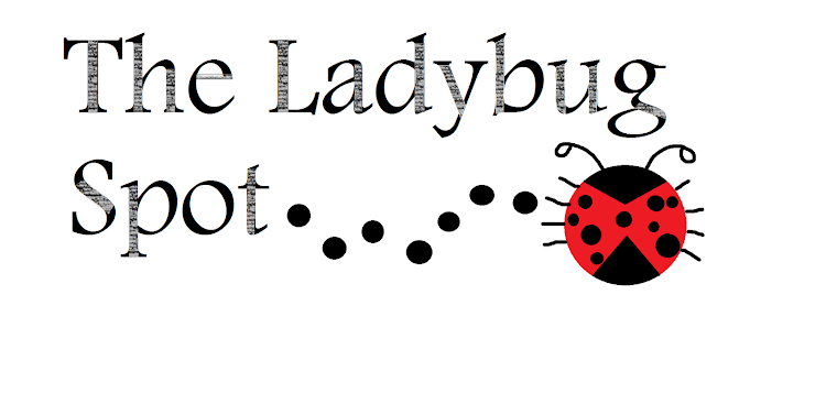 The Ladybug Spot