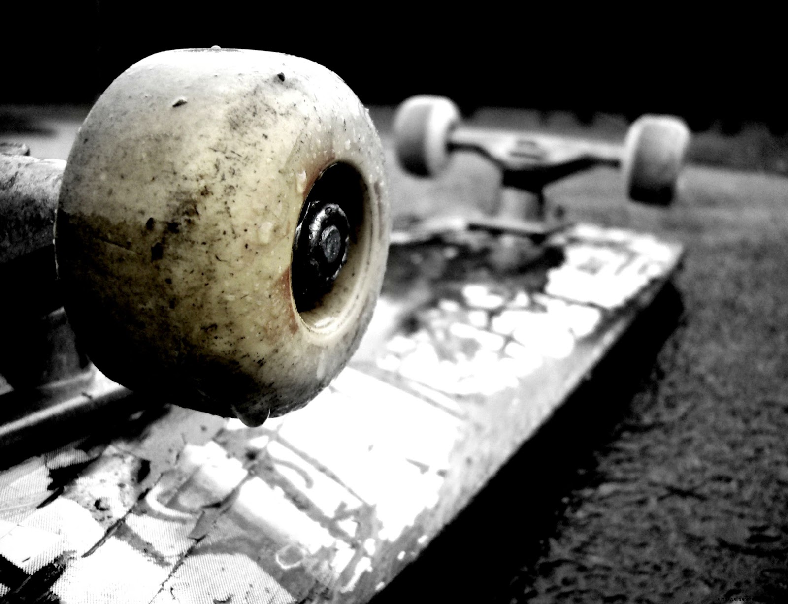 Skateboarding Skateboard Skateboarding Skateboard