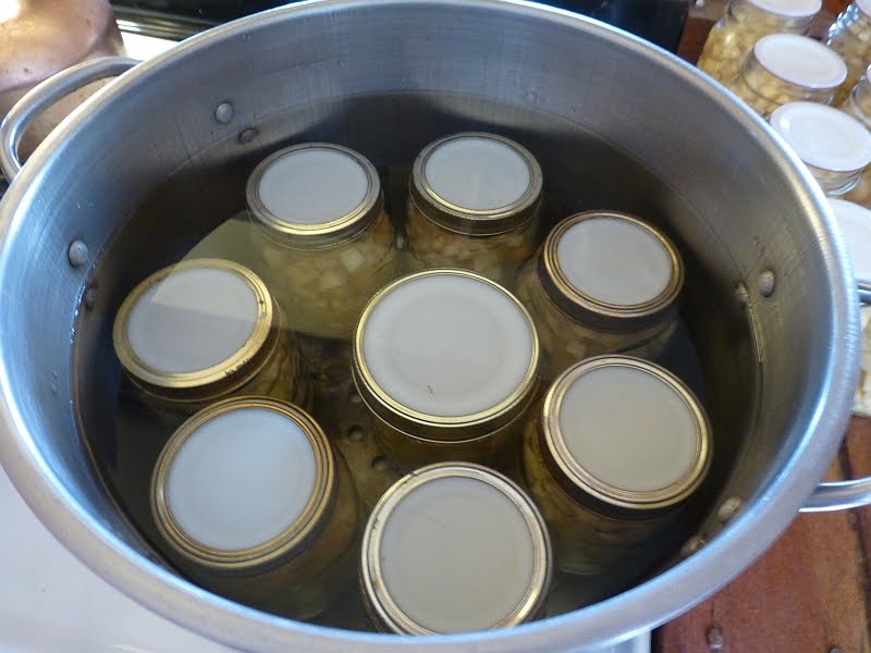 Canning Apples In A Water Bath at Bruce Randolph blog
