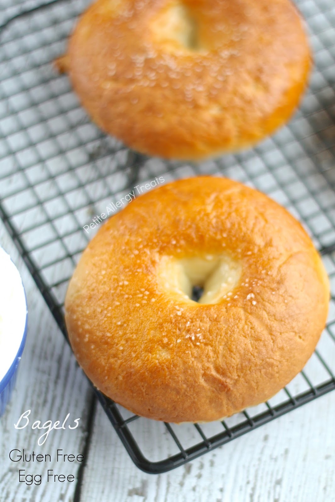 Gluten Free Egg Free Bagels- Chewy and dense, you'll never know these bagels are gluten free and egg free. PetiteAllergyTreats