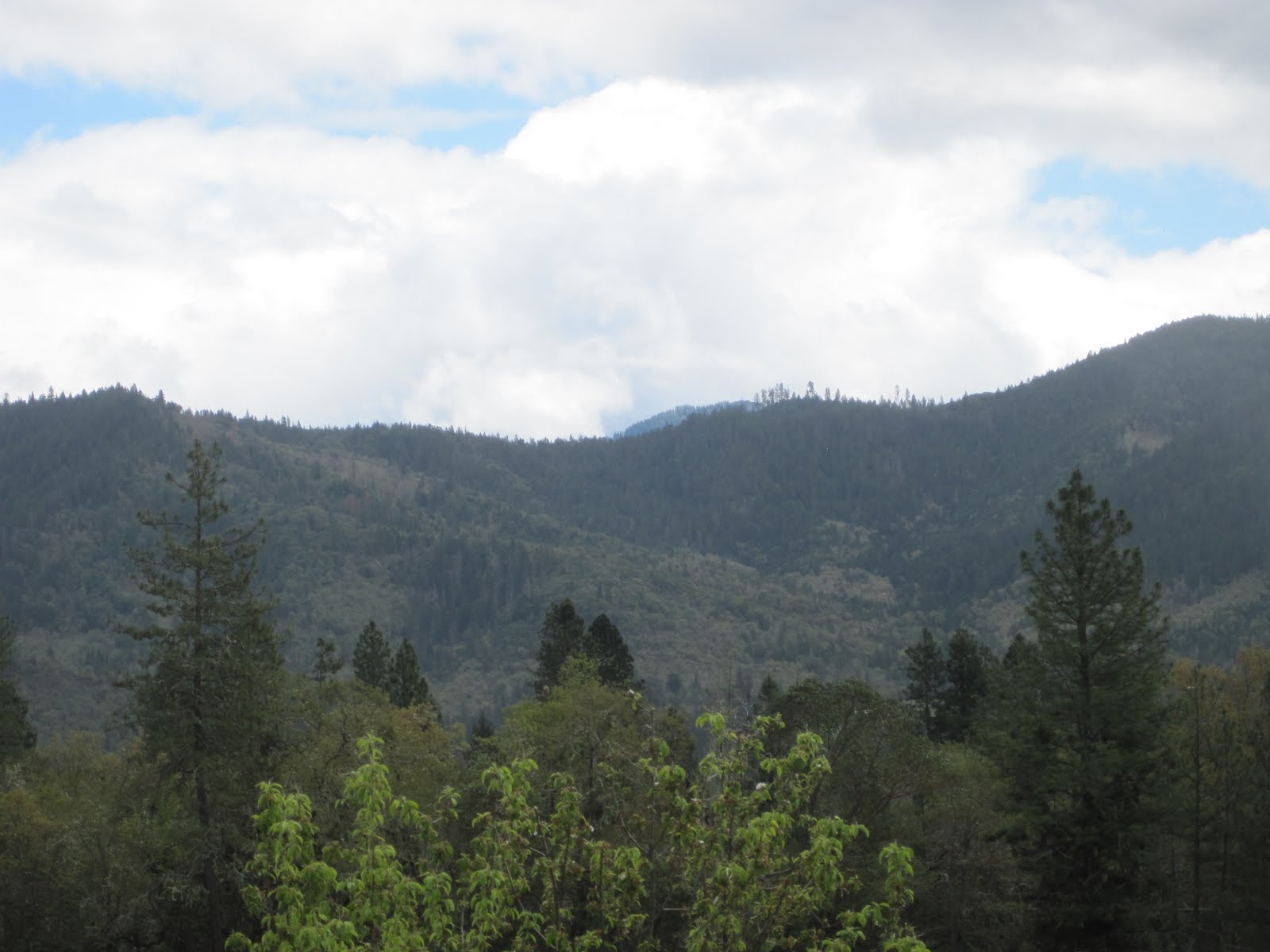 Reinventing the Run Williams, Oregon