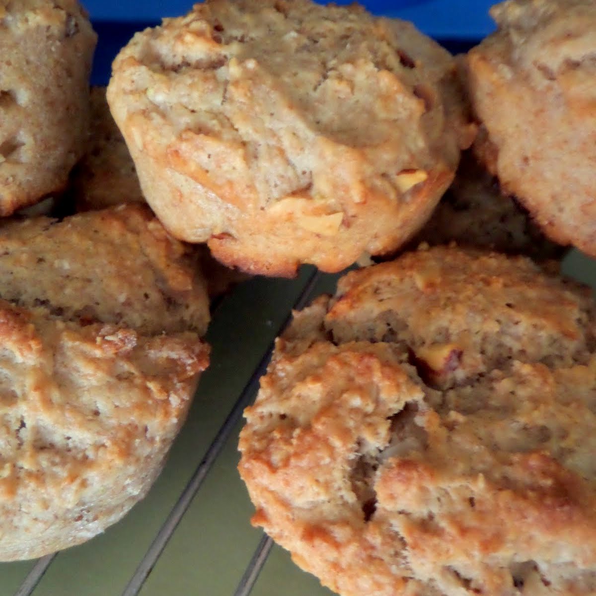 Ginger Lime Muffins Joybee, What's for Dinner?