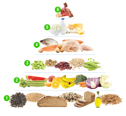 Znalezione obrazy dla zapytania piramida żywienia
